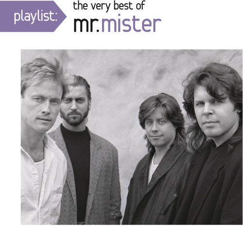 Mr. Mister-Playlist: The Very Best of Mr. Mister (CD)