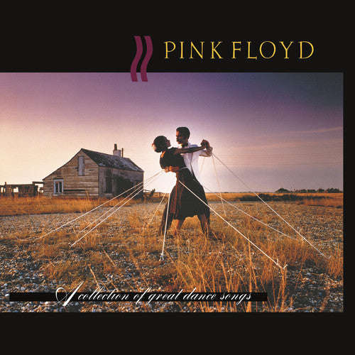 Pink Floyd-A Collection Of Great Dance Songs
