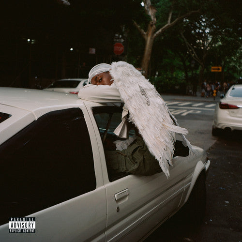 Blood Orange-Negro Swan (CD)