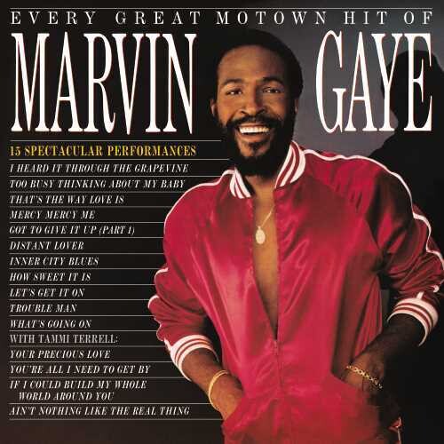Marvin Gaye-Every Great Motown Hit of Marvin Gaye: 15 Spectacular Performances (LP)