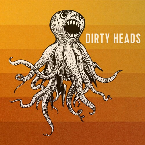 Dirty Heads-Dirty Heads (LP)