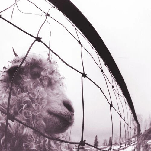 Pearl Jam-Vs.  (Clear Vinyl) (LP)