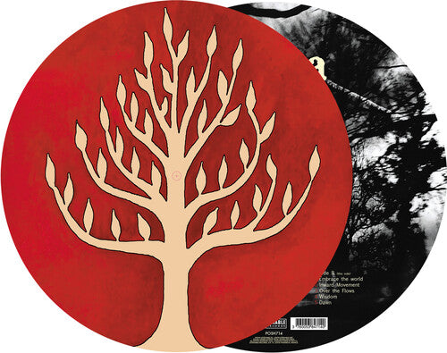 Gojira-The Link (Picture Disc) (LP)