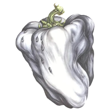 (PRE-ORDER) Ween-White Pepper (Green LP)