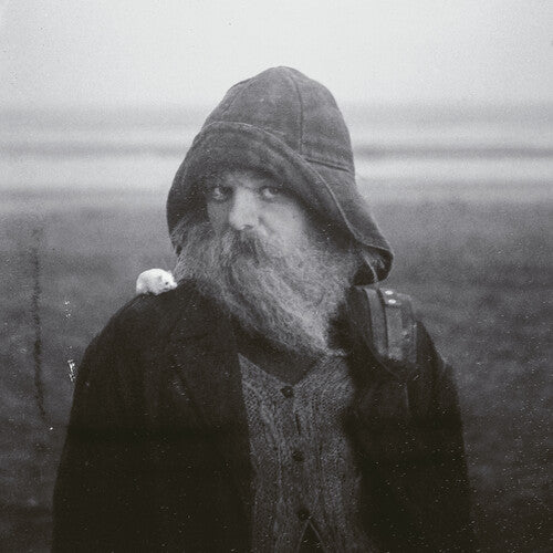 (PRE-ORDER) Mary In The Junkyard-Role Model Hermit (LP)