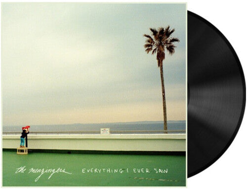 The Menzingers-Everything I Ever Saw (LP)