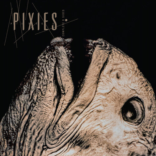 (PRE-ORDER) Pixies-Complete B Sides: 1988-97 (2XLP)