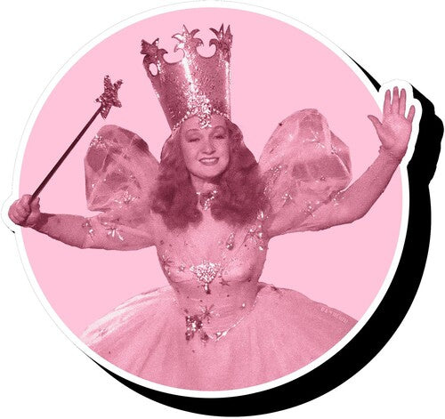 Magnet-Wizard Of Oz Good Witch Funky Chunky Magnet