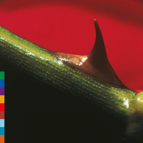 (PRE-ORDER) Nusrat Fateh Ali Khan-Night Song (Rose Leaf Green Vinyl) (LP)