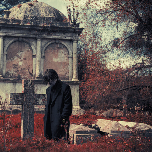 (PRE-ORDER) Steven Wilson-Requiem For A Village (2XLP)