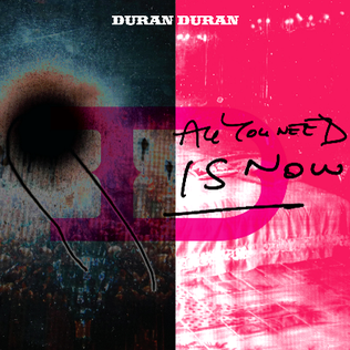Duran Duran-All You Need Is Now (Indie Exclusive Pink 2XLP)