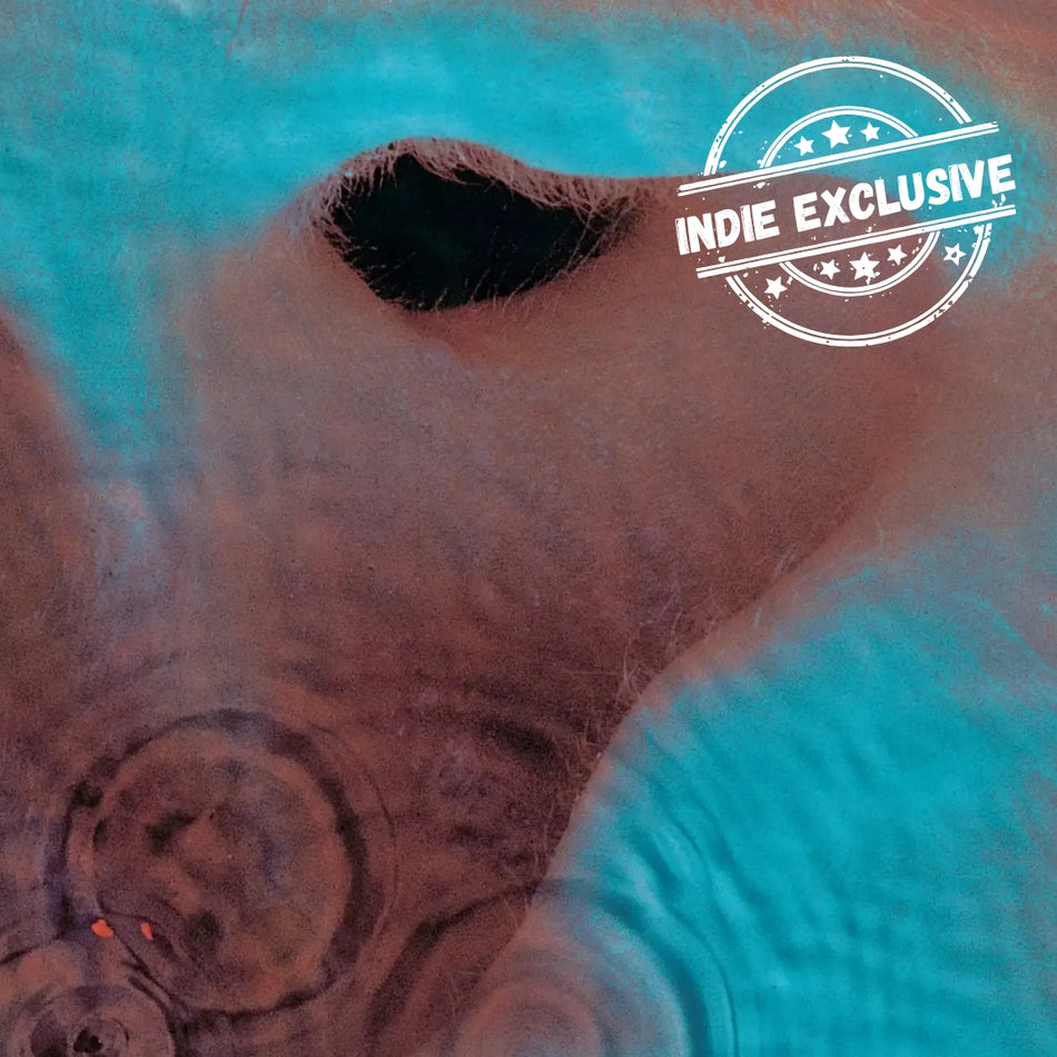 (PRE-ORDER) Pink Floyd-Meddle (INEX) (San Tropez Orange Marble Vinyl) (LP)