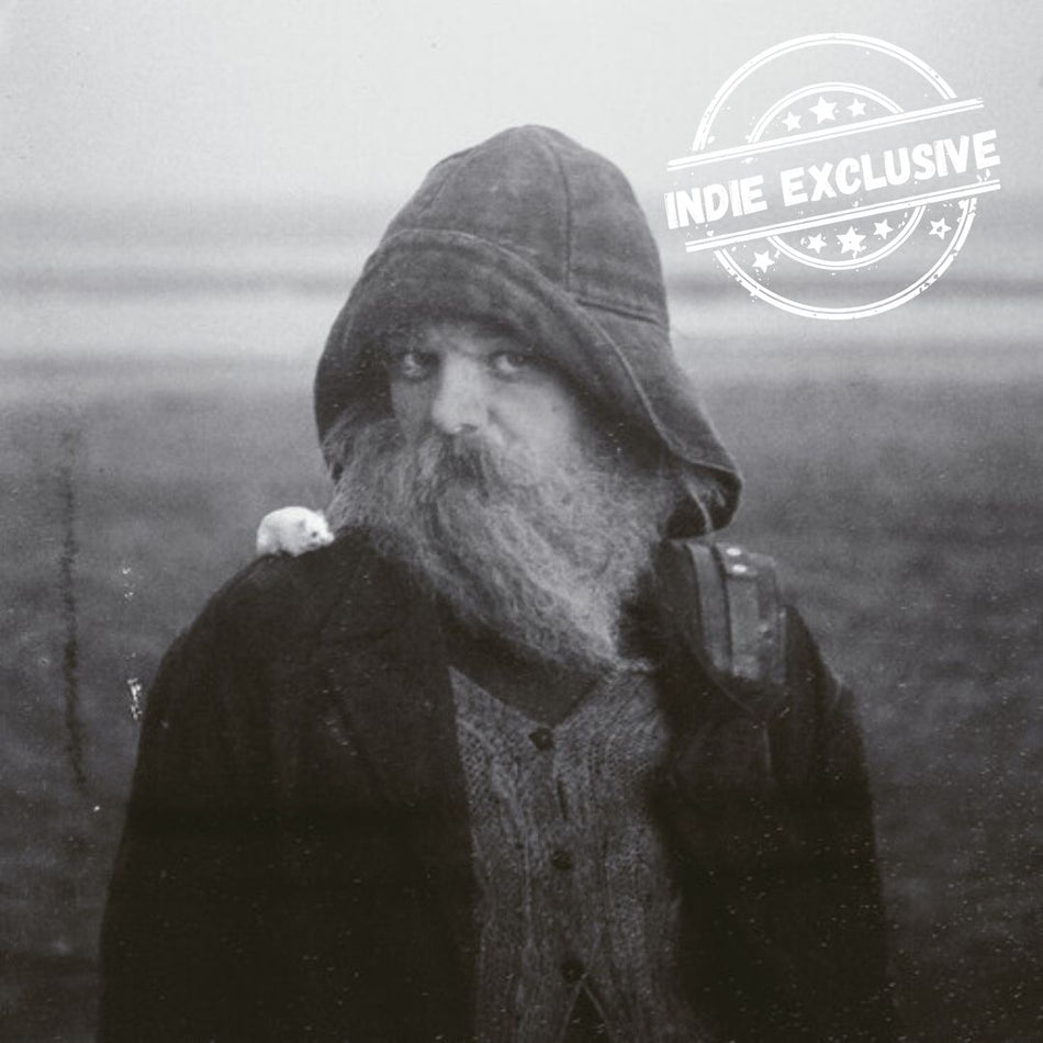 (PRE-ORDER) Mary In The Junkyard-Role Model Hermit (INEX) (Clear Vinyl) (LP)