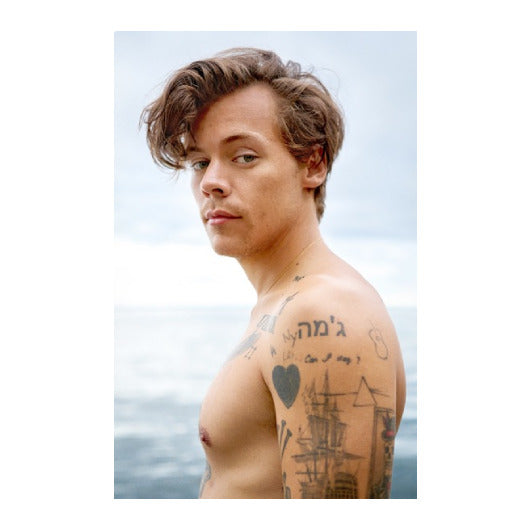 Poster: Harry Styles