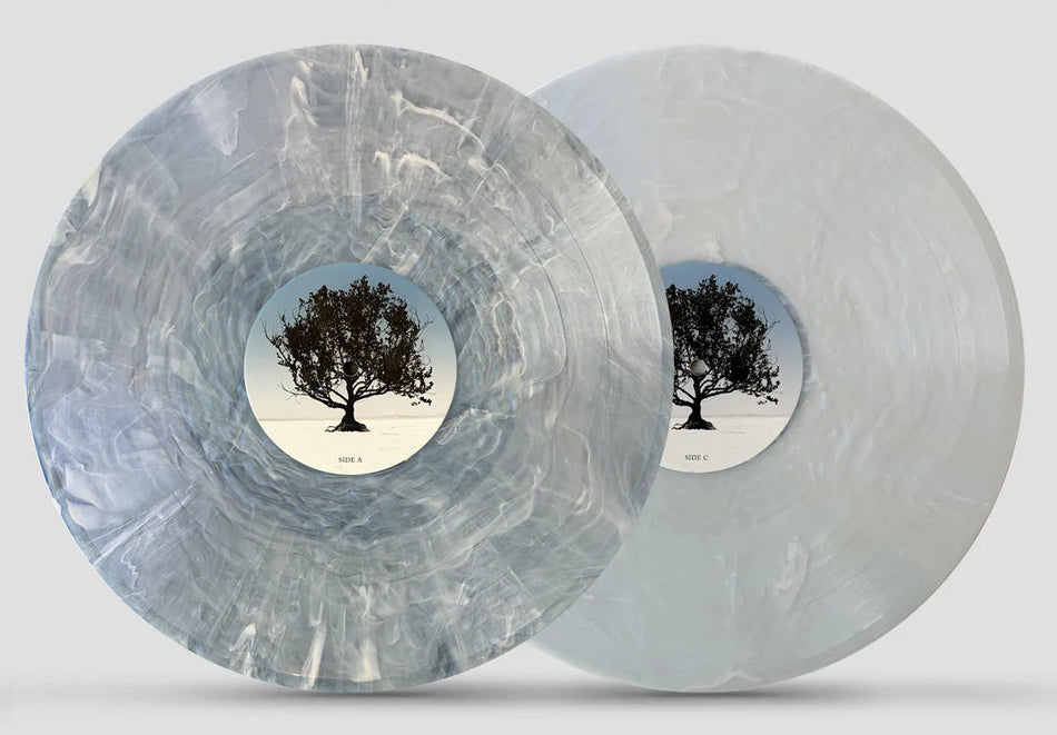 Shiny Toy Guns-We Are Pilots (Le Disko Iridescent Swirl 2XLP)