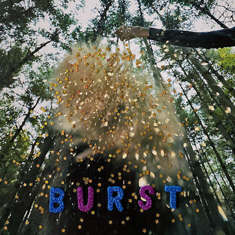 Snarls-Bursts (LP)