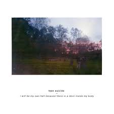 Teen Suicide - I Will Be On My Own Because There Is A Devil Inside My Body (LP)(Pink)