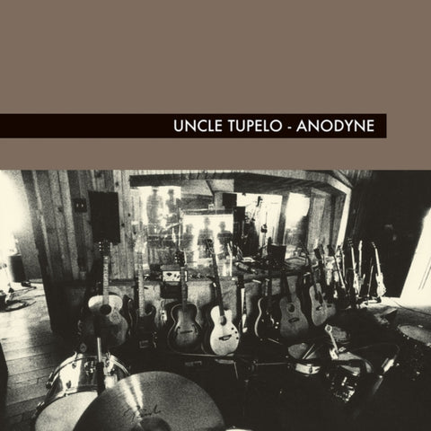 Uncle Tupelo-Anodyne (LP)