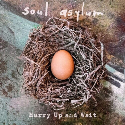 Soul Asylum-Hurry Up & Wait (LP)