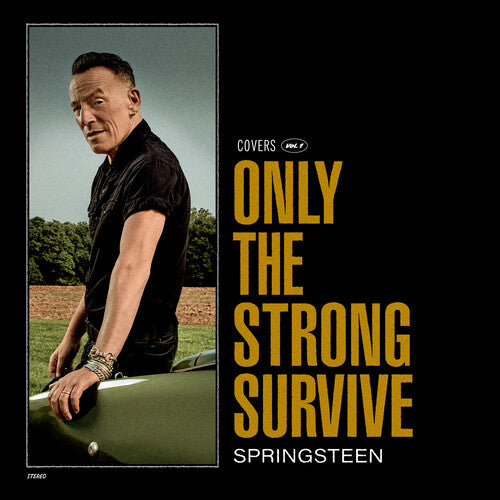 Bruce Springsteen-Only the Strong Survive (2XLP)