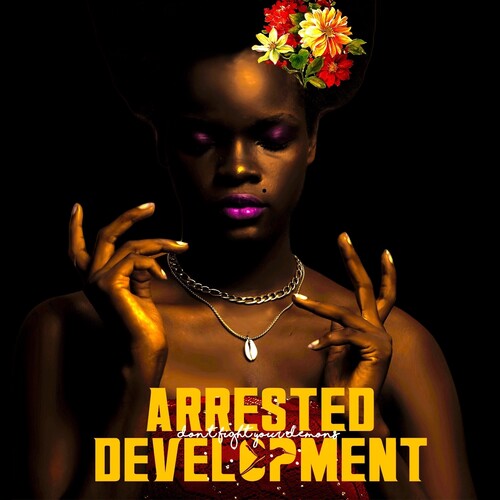 Arrested Development-Don't Fight Your Demons (2XLP)